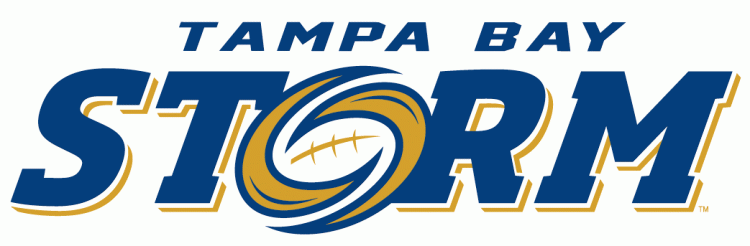 Tampa Bay Storm 2012-Pres Primary Logo iron on transfers for clothing